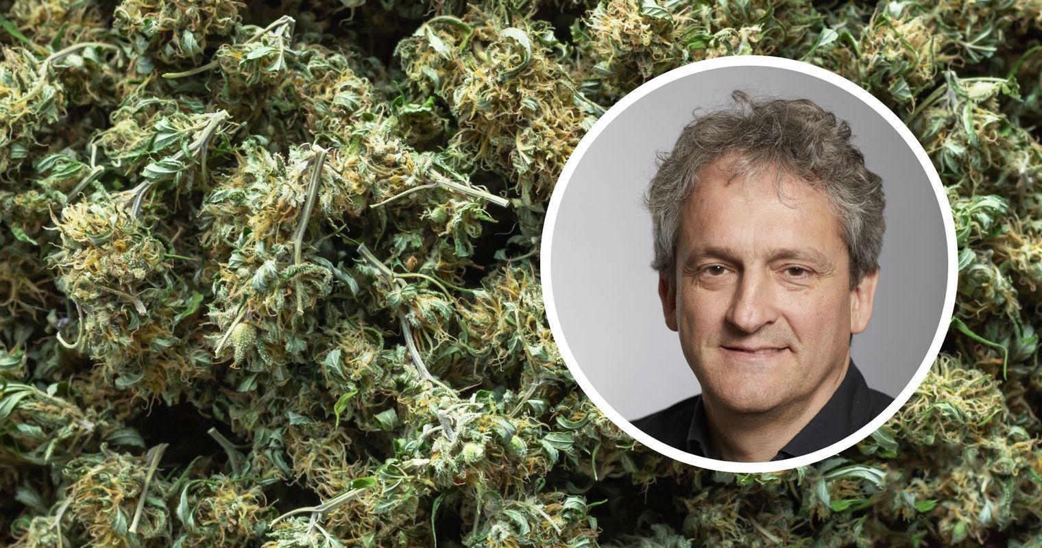 Hat Luzern den Start der Cannabis-Studie versifft?