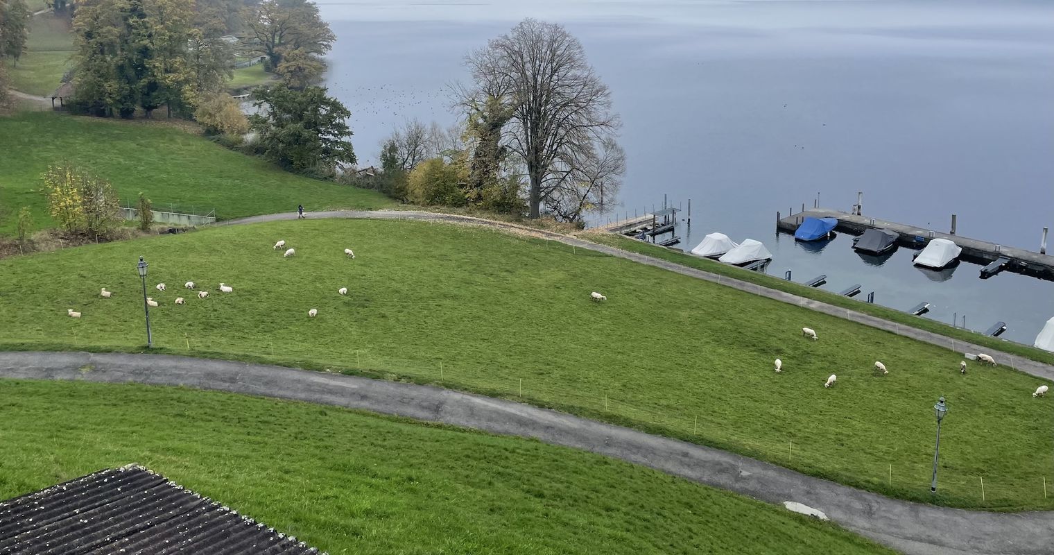 Badi und Beiz: Risch stimmt besonderem Landkauf zu