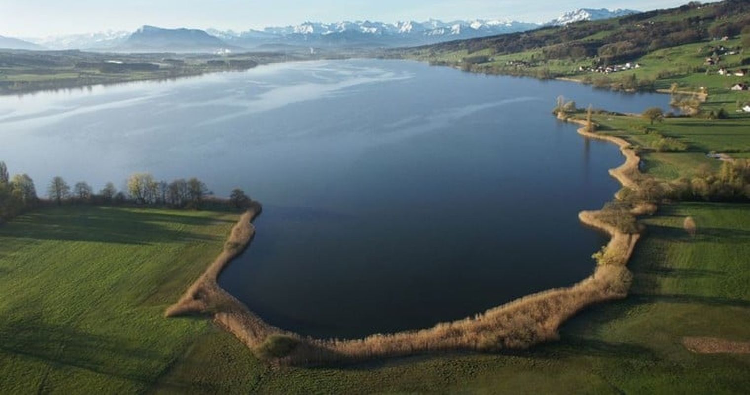Baldeggersee: Neuigkeiten zum Rundweg erfreuen Seetaler