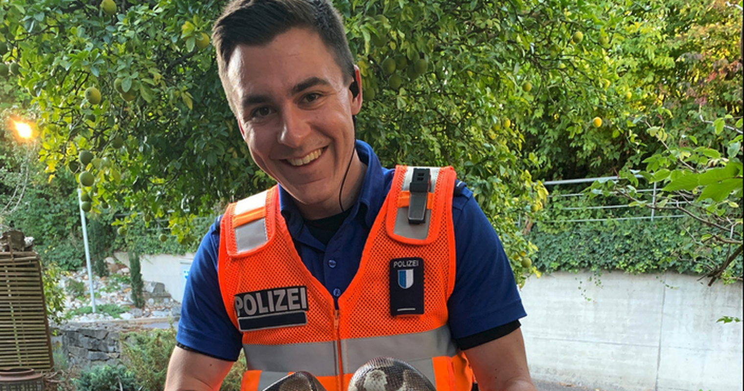 Luzerner Polizei wird zum Schlangenbeschwörer