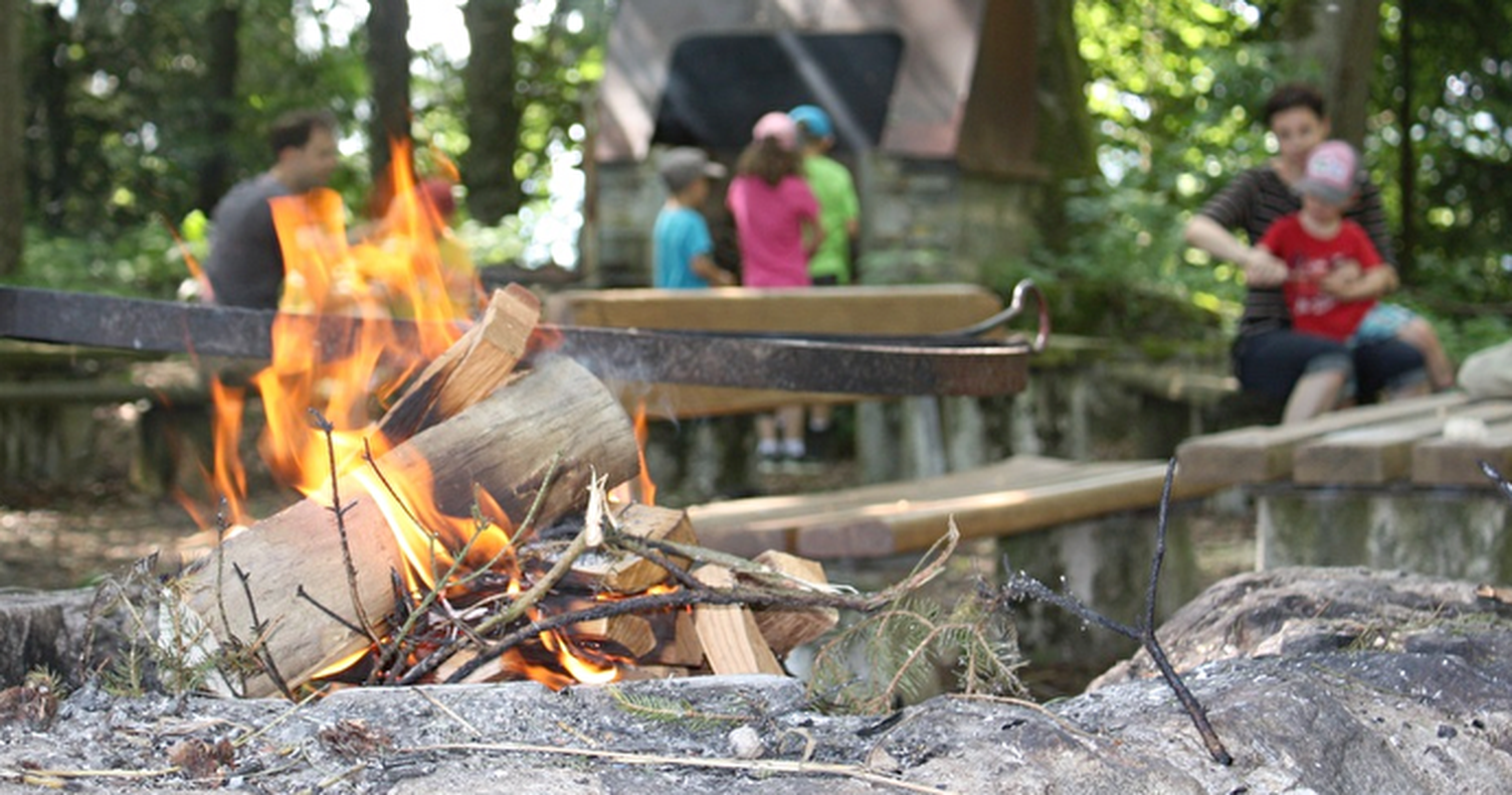 Zu trocken: In Luzern sind Feuer im Wald derzeit verboten