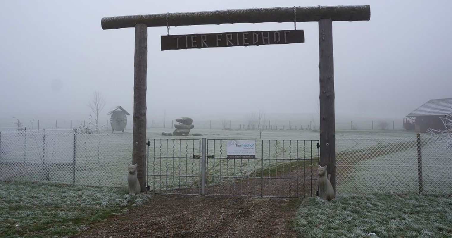 Wo Hund und Katz friedlich nebeneinander ruhen