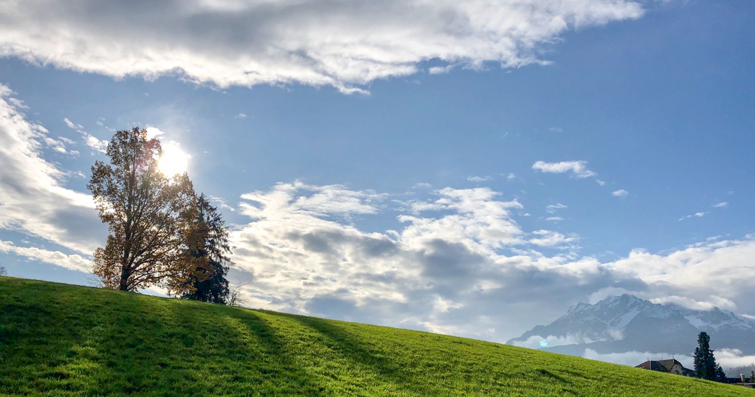 Wie ein Stichentscheid die Luzerner Grünzone rettete