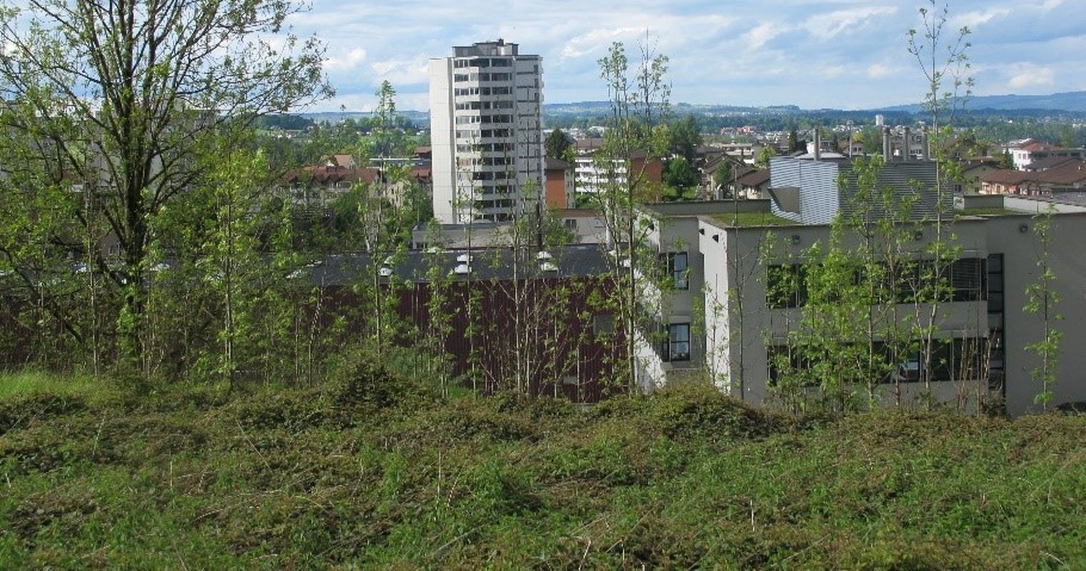 Heizen im grossen Stil