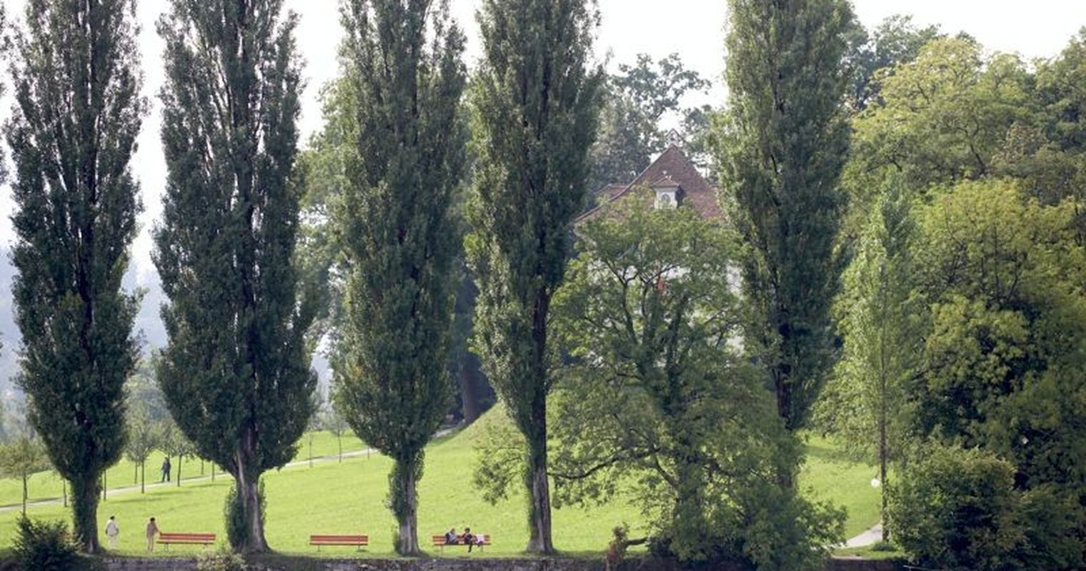 Picknicker machen Luzerner Stadtgärtnerei das Leben schwer