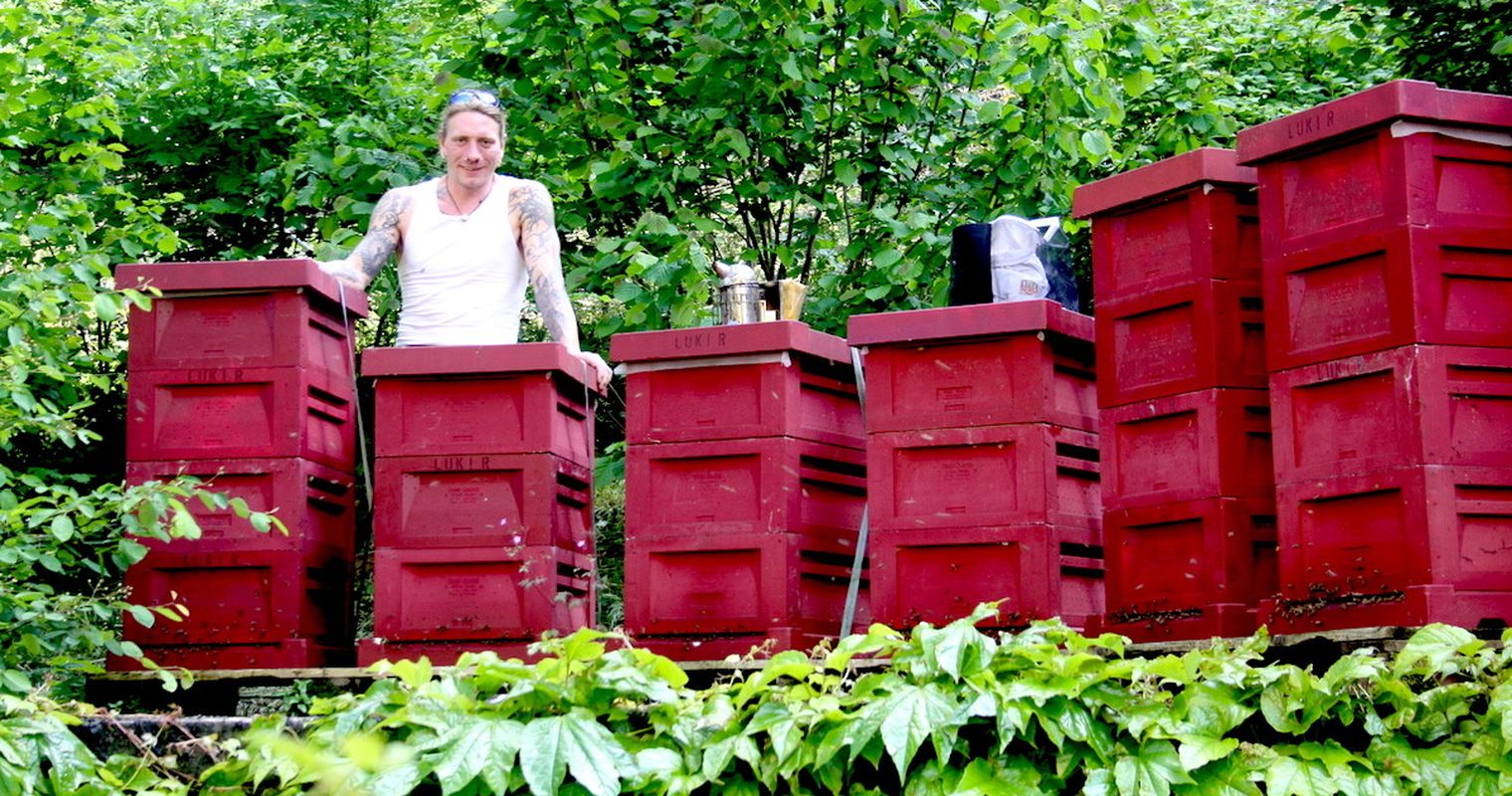 Summ, summ, summ: Der coole Bienenvater von Luzern