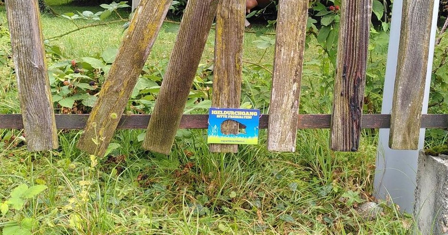 Zuger sollen kleinen Wildtieren helfen