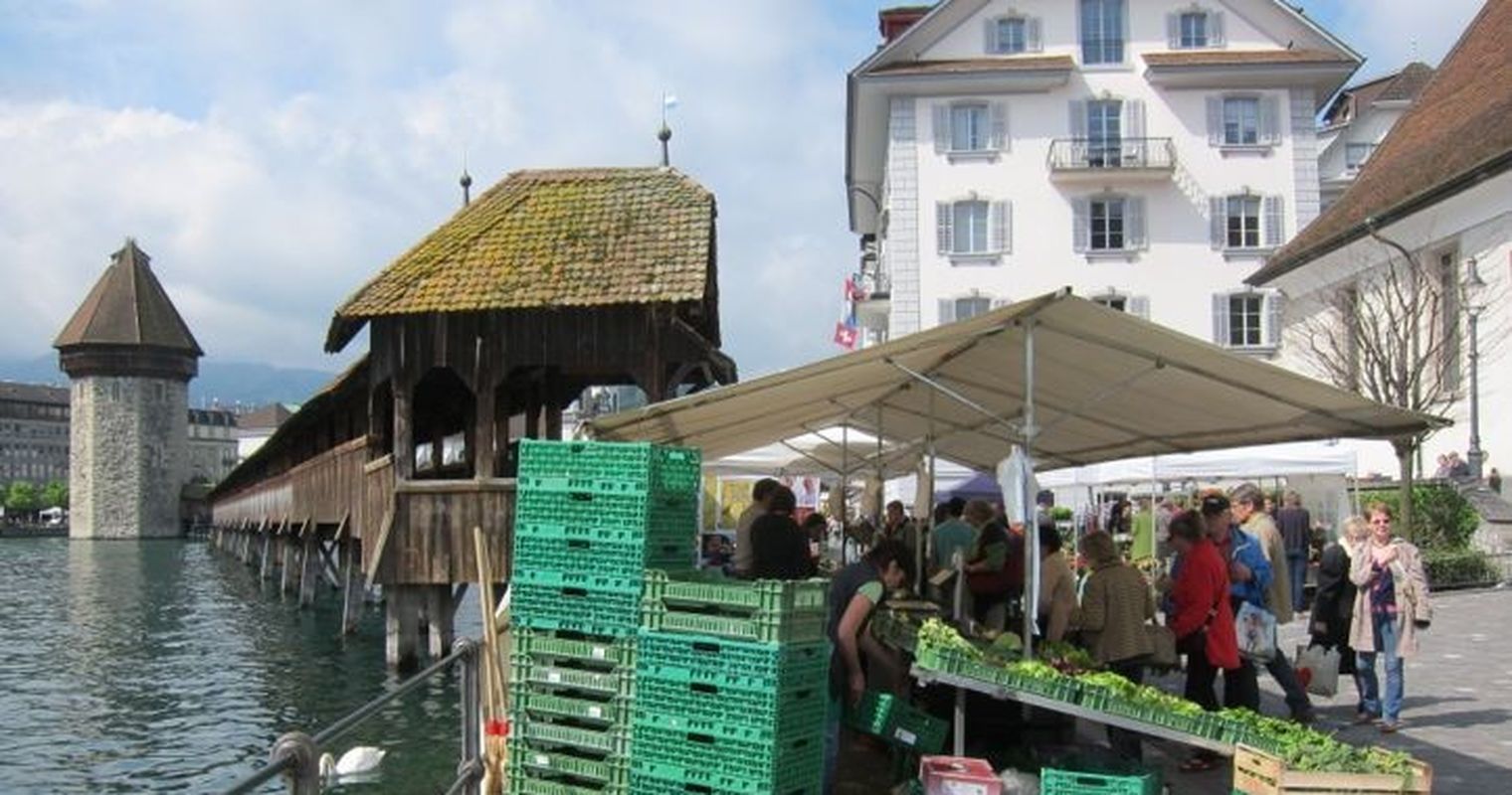 Zartes Frühlingserwachen am Luzerner Wochenmarkt