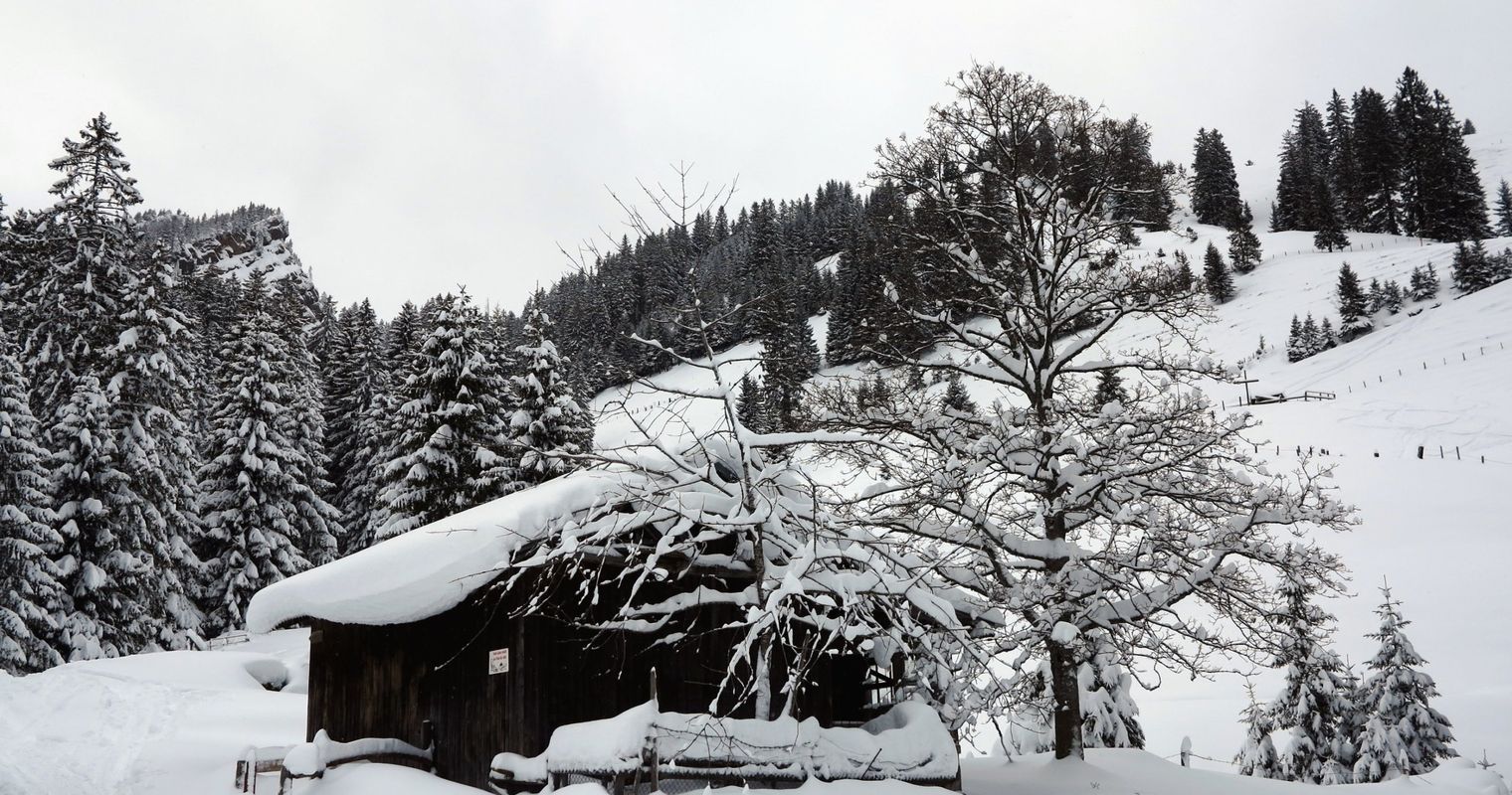 Wenn das Räge- zum «Schneeflüeli» wird