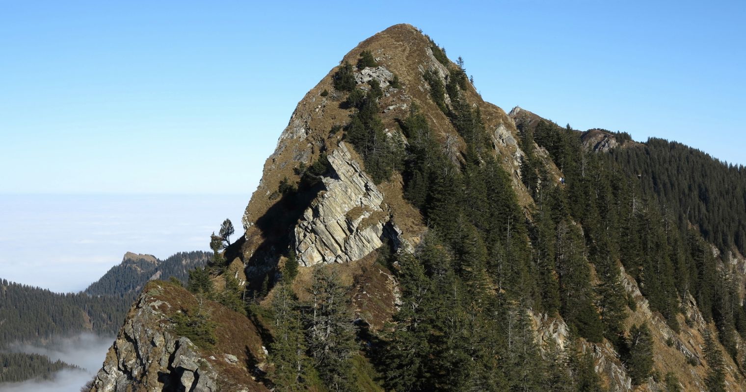 Von der Lütholdsmatt über die Stäfeliflue am Pilatus