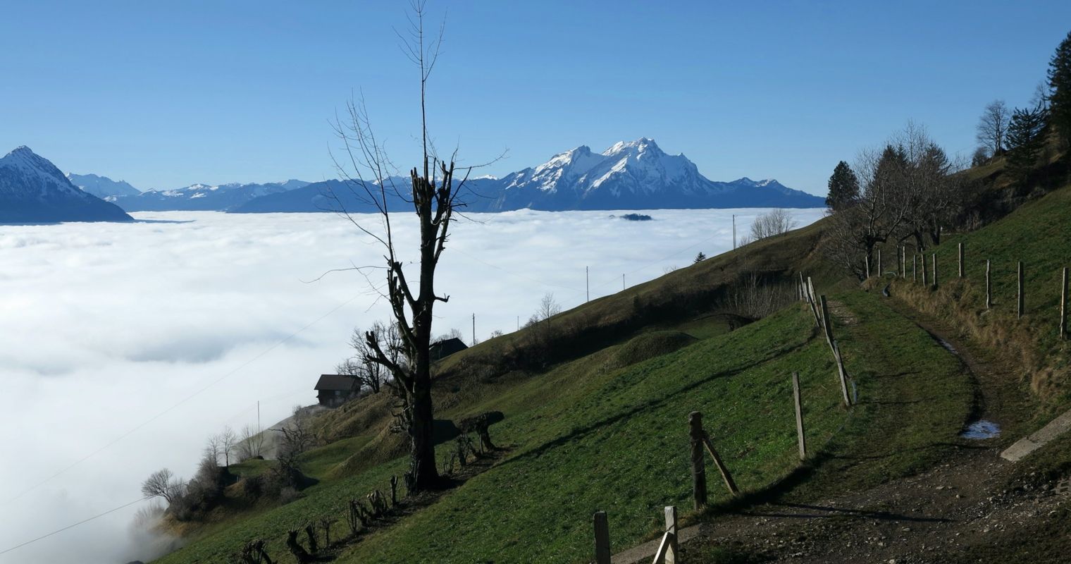 Grenzüberschreitungen am Rigi-Südhang