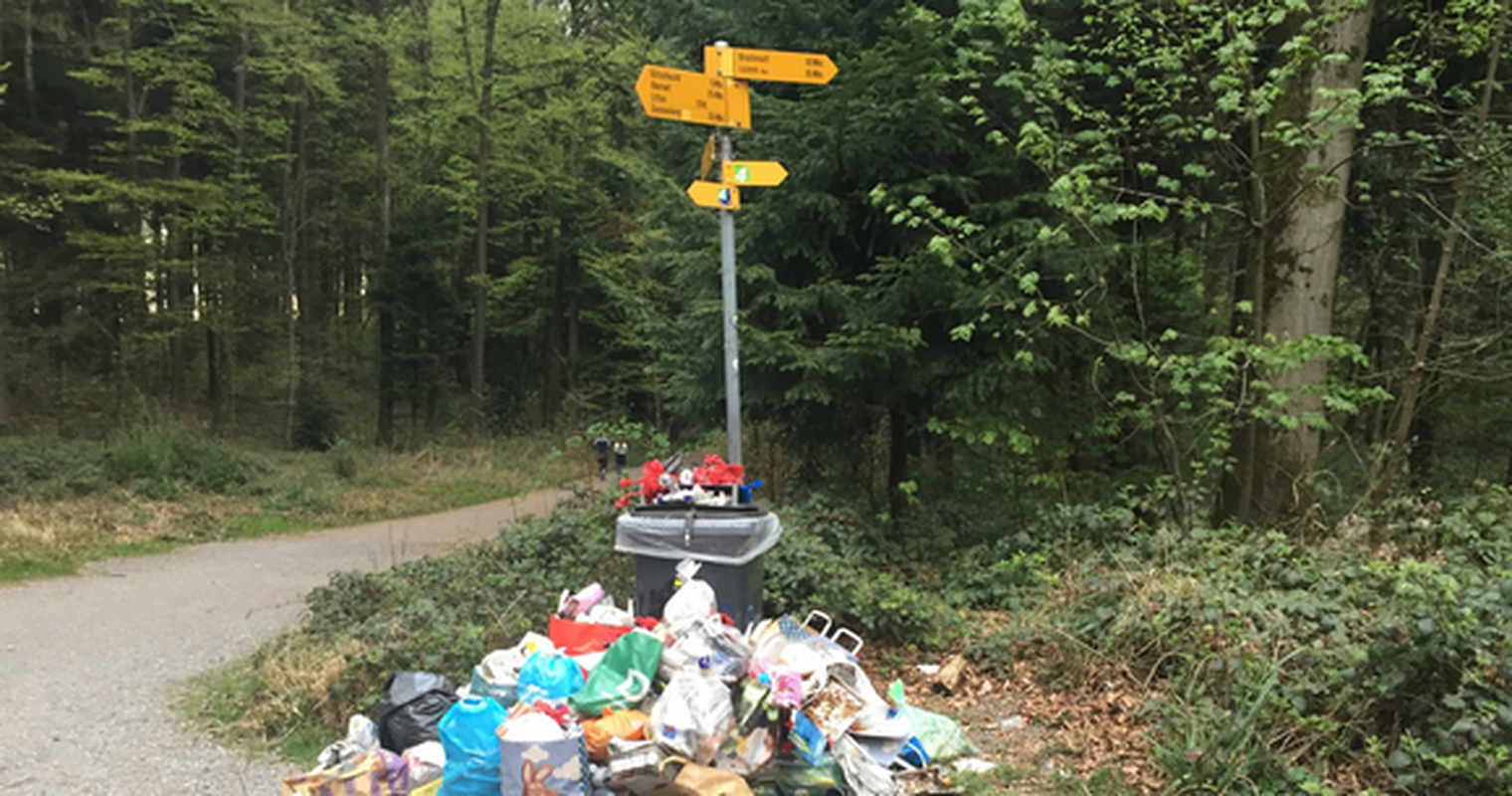 Gütschwald: Wilde Feuerstellen und Menschenkot hinter den Bäumen