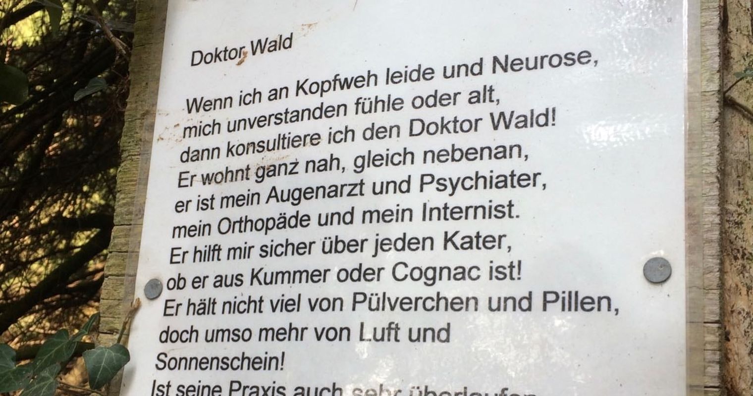 Doktor Wald
