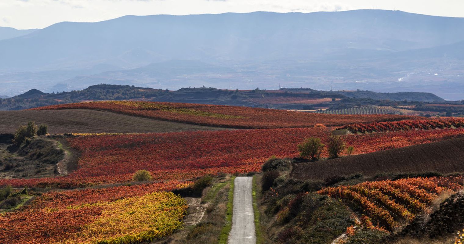 Entdecke die traditionellste Weinregion Spaniens neu