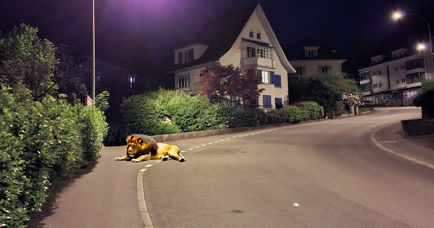 Diverse exotische Tiere in der Zentralschweiz gesichtet