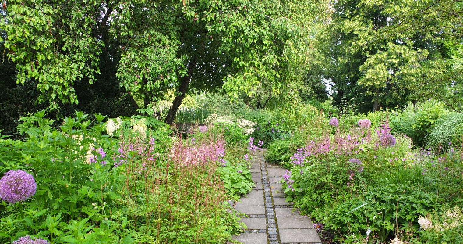 Biodiversität ist auch mit Zierpflanzen möglich