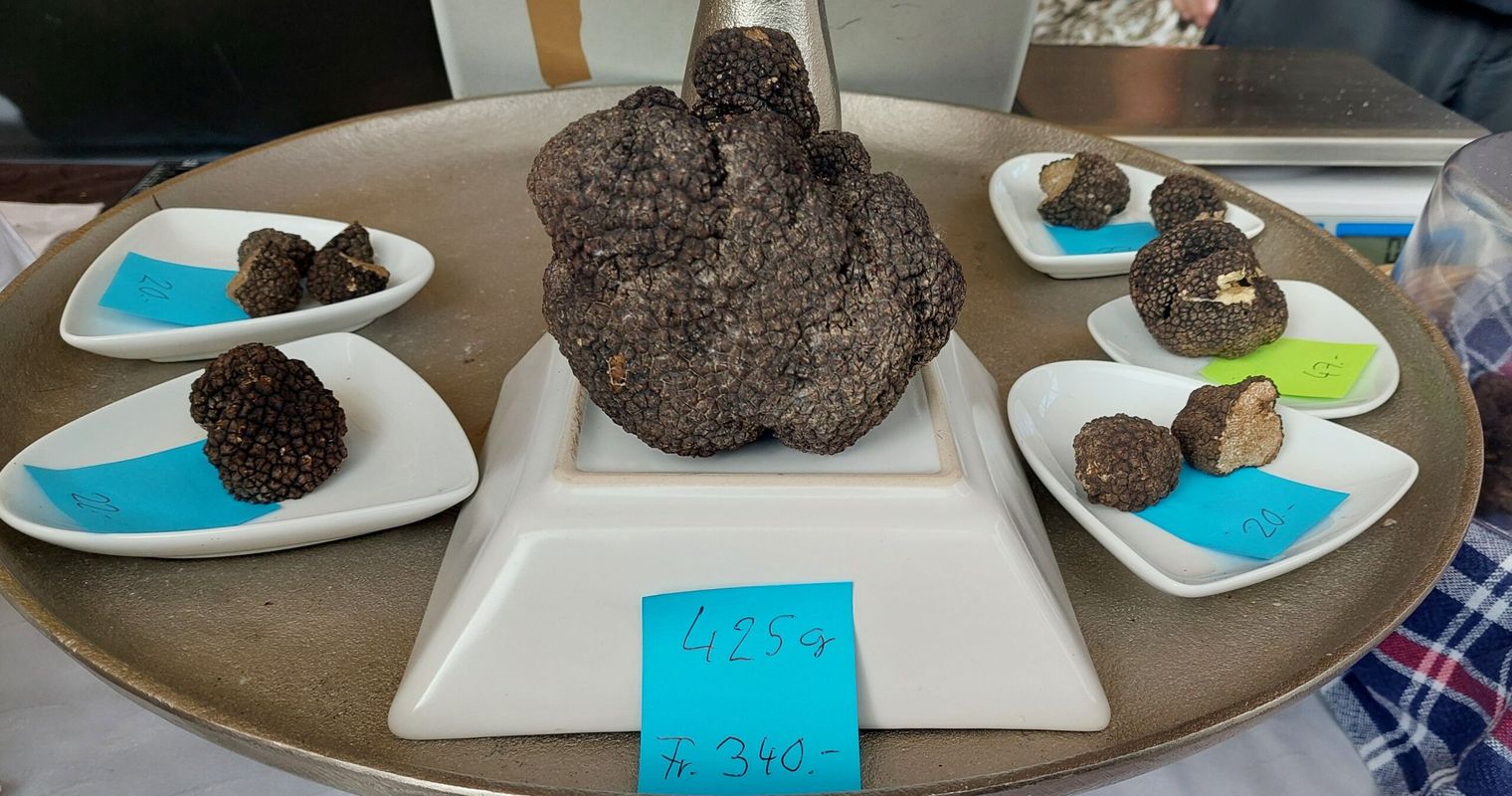 «Ich habe heute mehr als 700g weissen Trüffel verkauft»