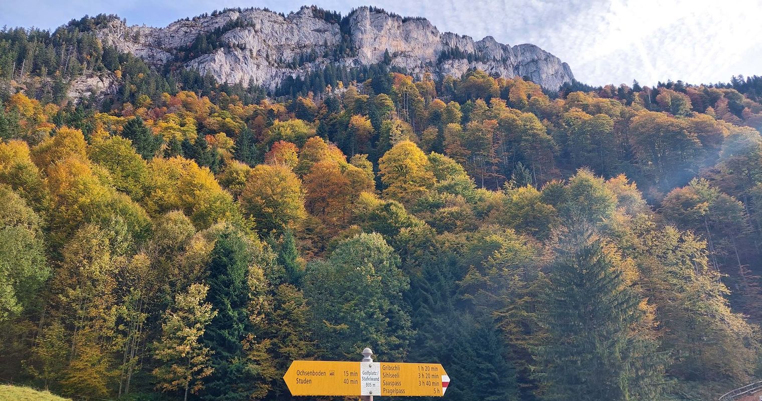 Diethelm: Eine Wanderung, die glücklich macht. Trotz allem