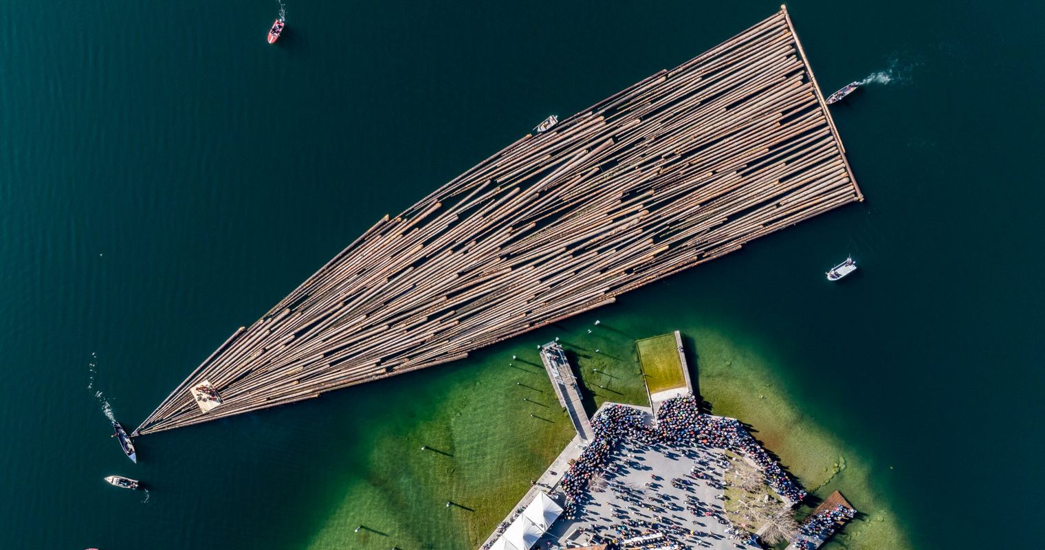 Dutzende Baumstämme schwimmen auf dem Ägerisee