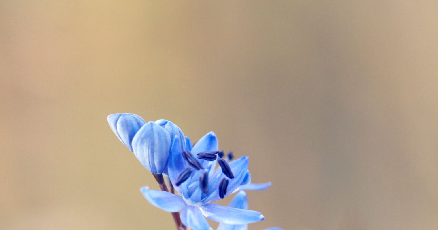 9 Bilder, um dich auf den Frühling einzustimmen