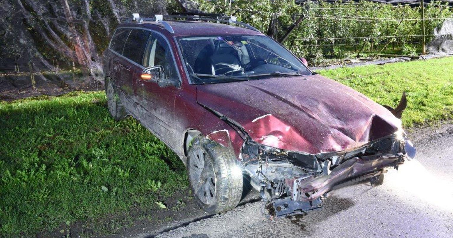 Ermensee: 51-Jähriger fährt mit Auto in Obstplantage