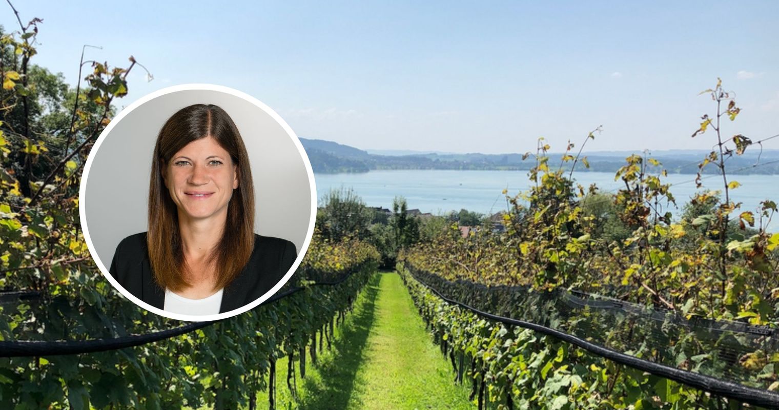 Warum Luzerns Winzer keinen Absturz fürchten