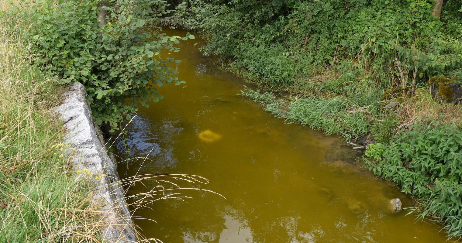 Problem-Chemikalie «PFAS» ist  auch in Luzerner Gewässern