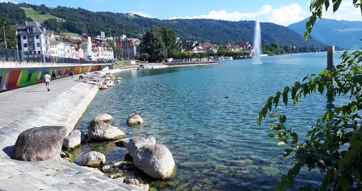 Hier könnte bald ein neuer Steg über den See führen