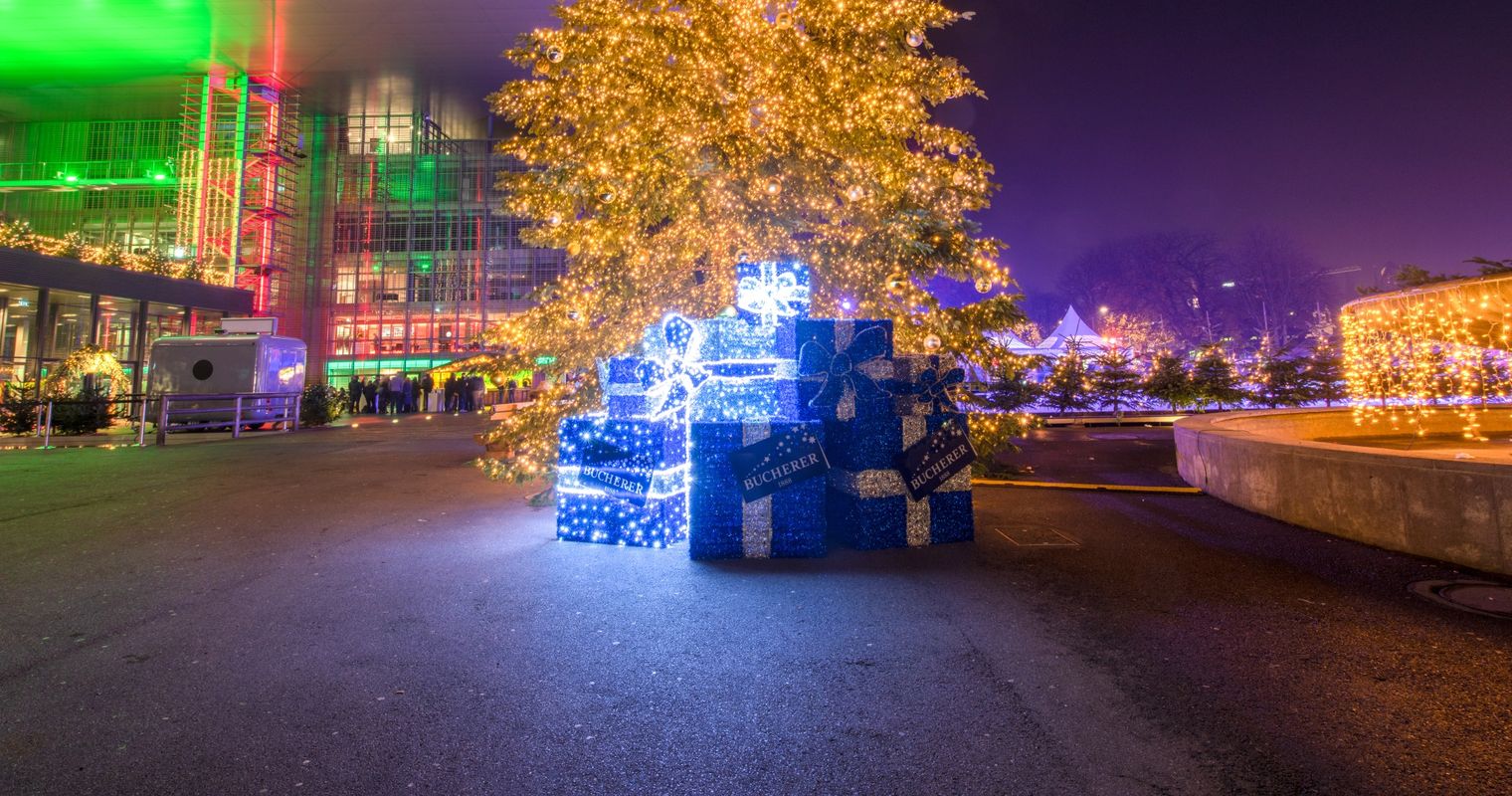 Weihnachtsbaum auf dem Europaplatz wird beleuchtet