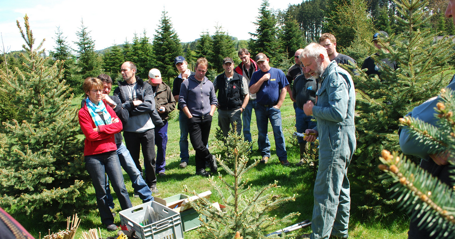 Sommergewitter zerdeppern Christbäume im Kanton Zug