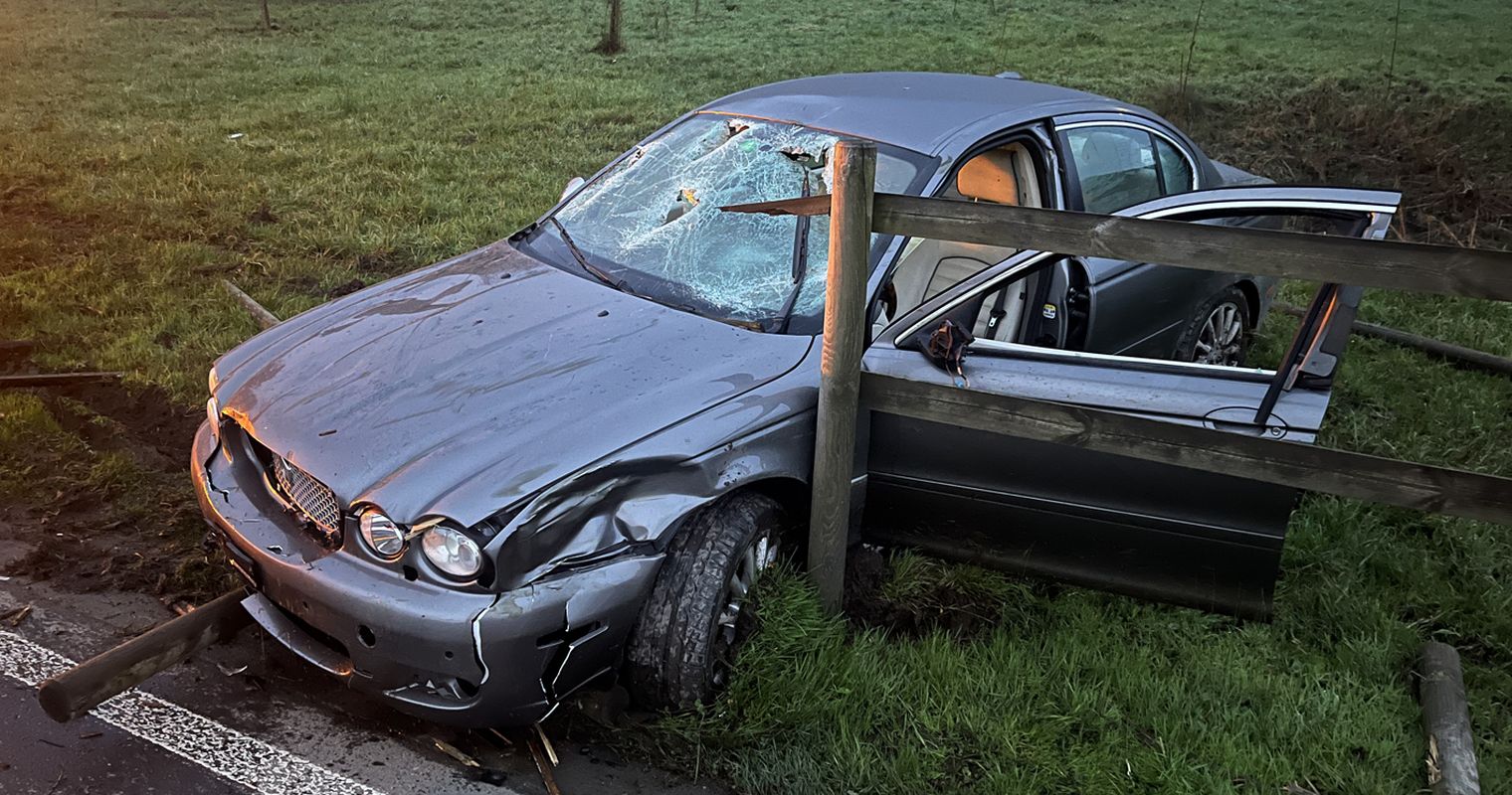 Besoffener brettert durch Zaun und landet auf Wiese