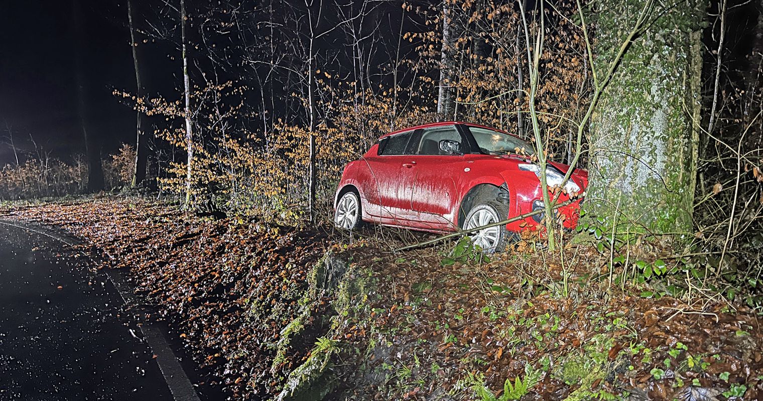 Mit über zwei Promille in Baum gebrettert