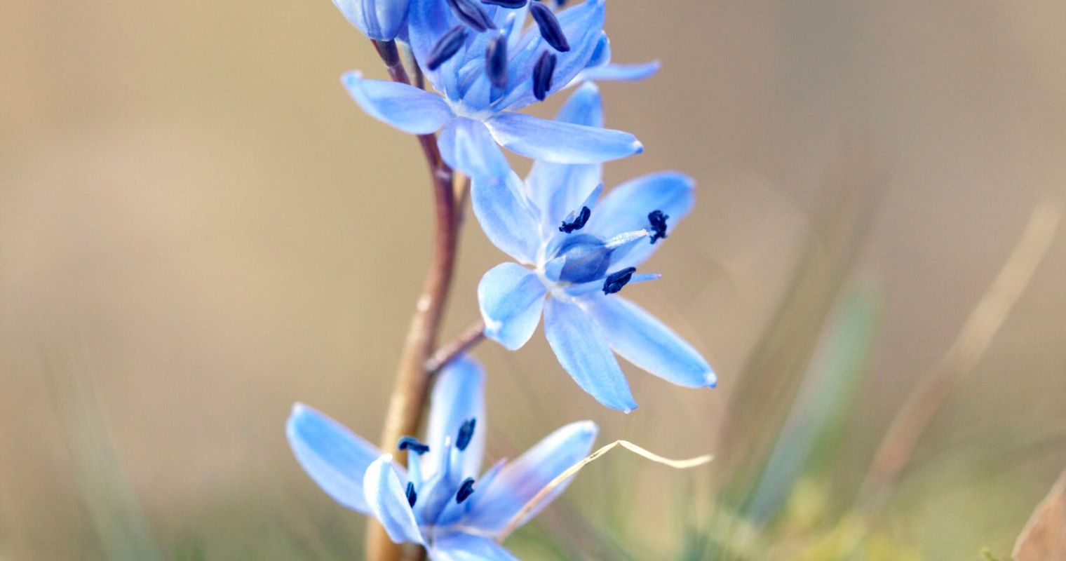 9 Bilder, um dich auf den Frühling einzustimmen