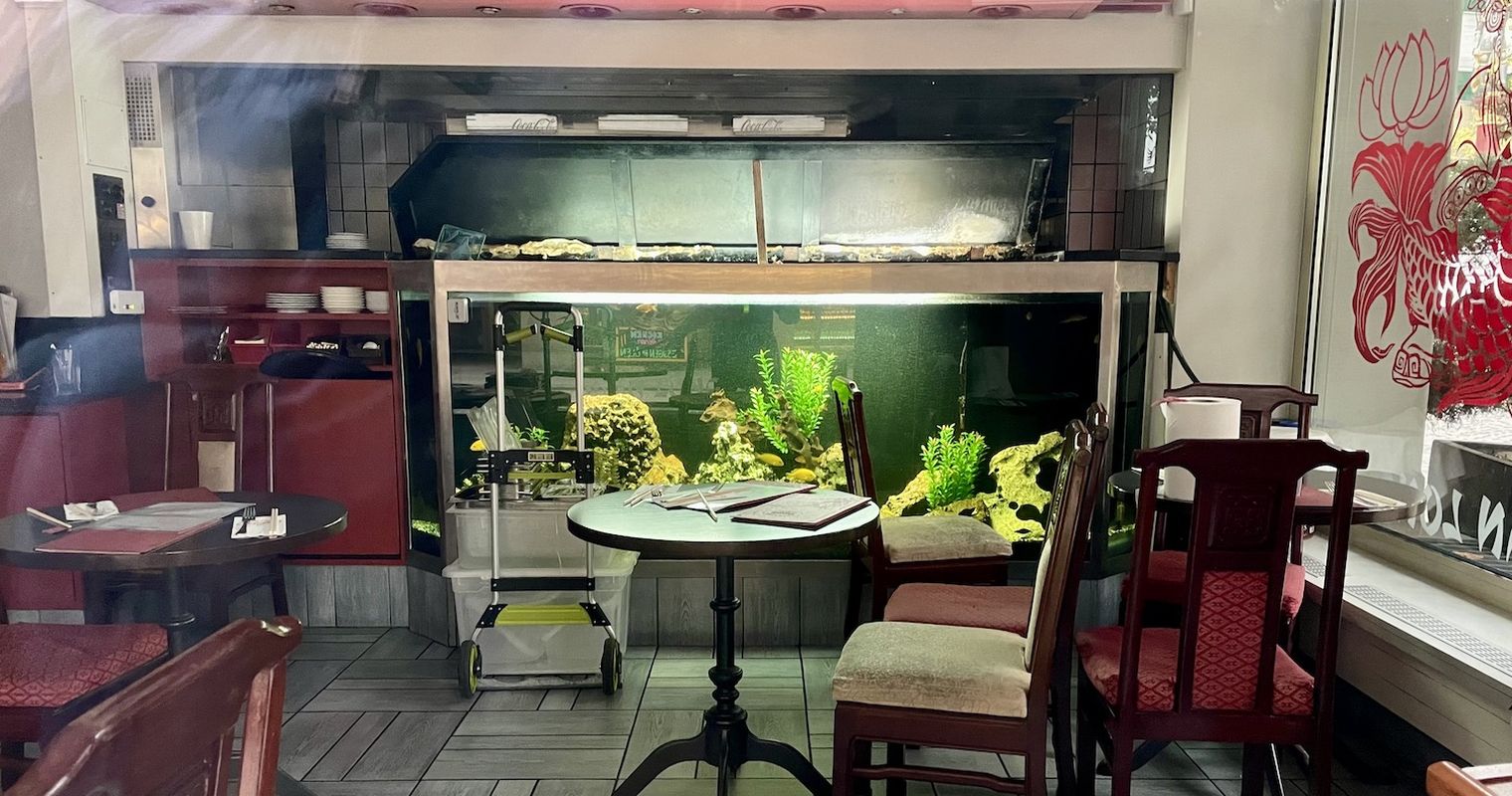 Restaurant versiegelt – Wer sorgt sich um die Fische?