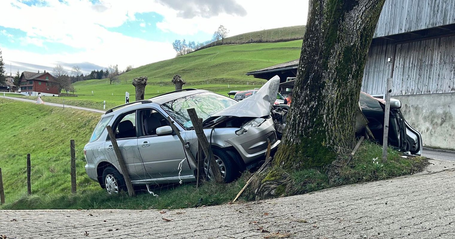 Schwarzenberg: Auto kracht in Baum – Fahrer verletzt