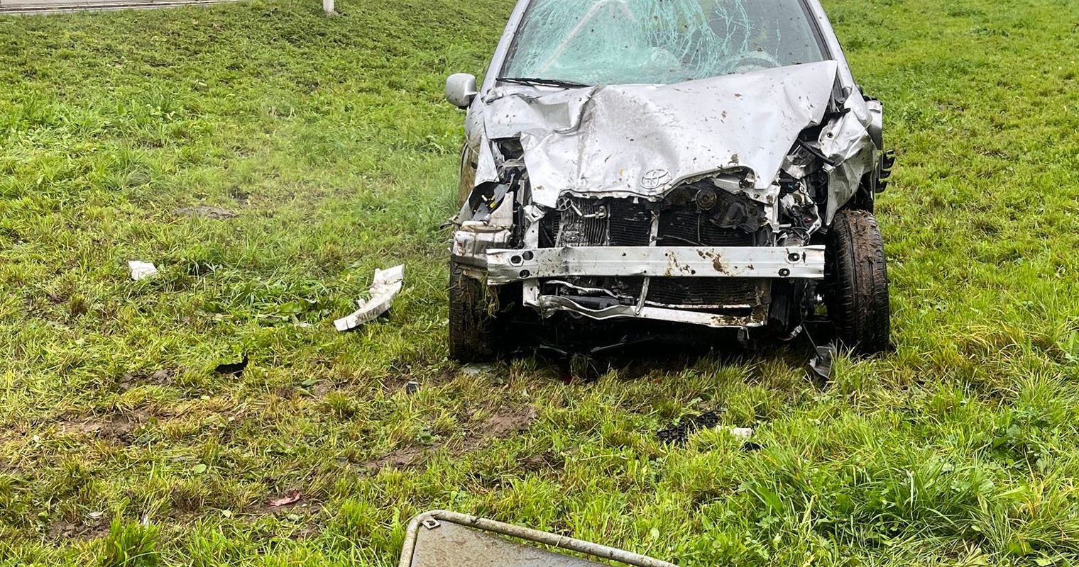 Auto fährt in Kuhherde – zwei Tiere tot