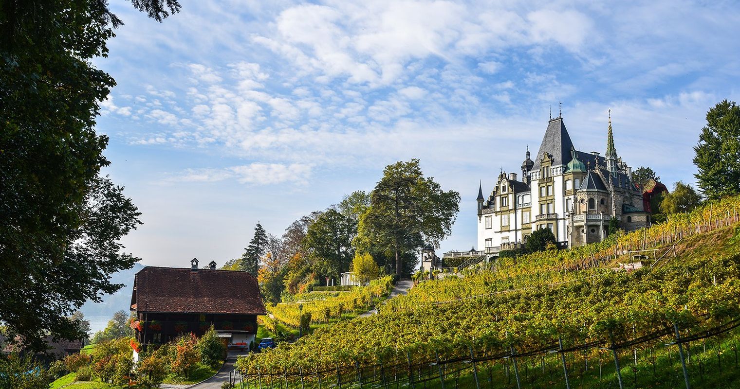 Dieser Luzerner Touristen-Hotspot bekommt Parkaufsicht
