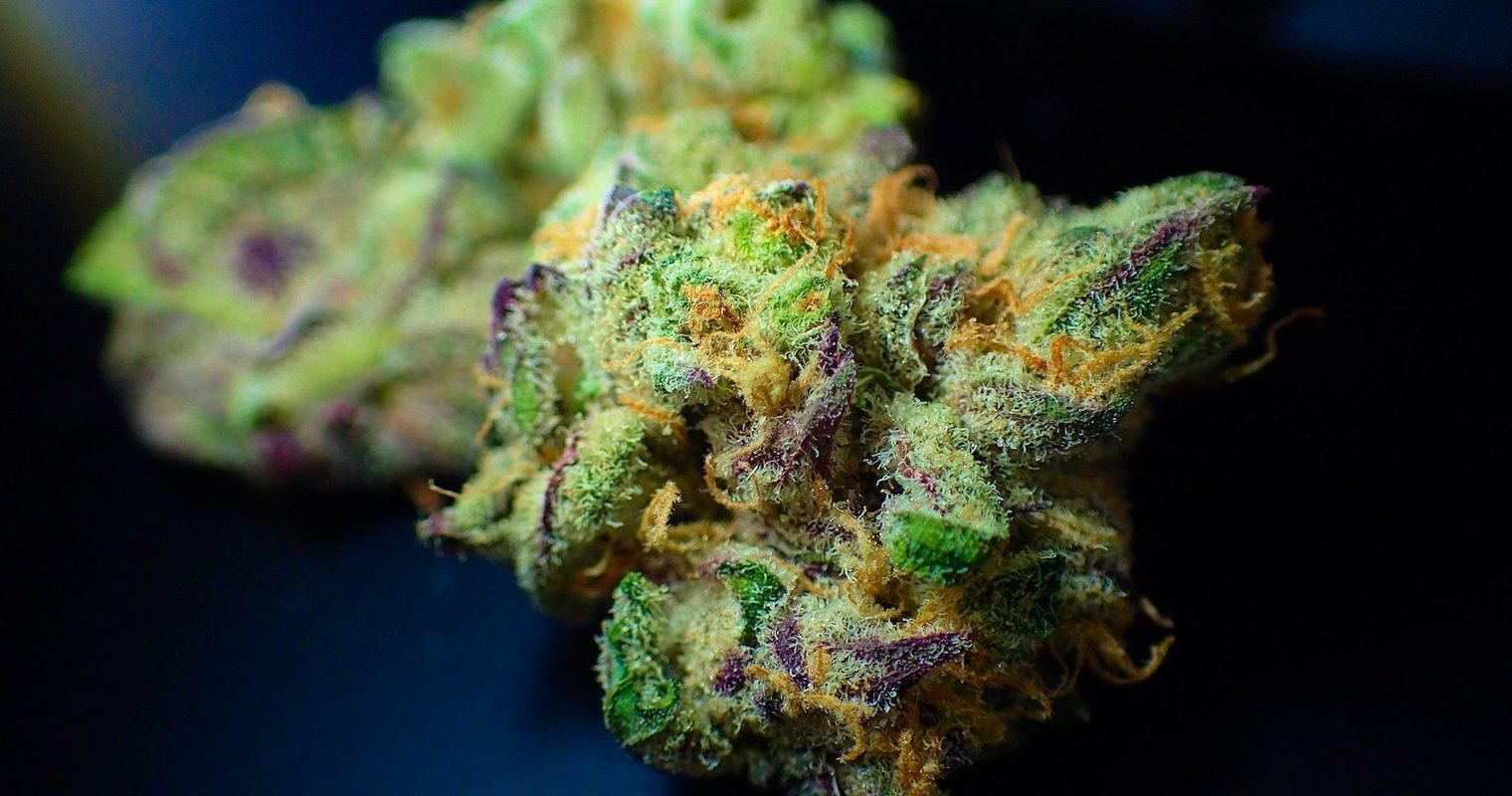 Jeder kann jetzt 9,9 Gramm Cannabis rumtragen – und behalten