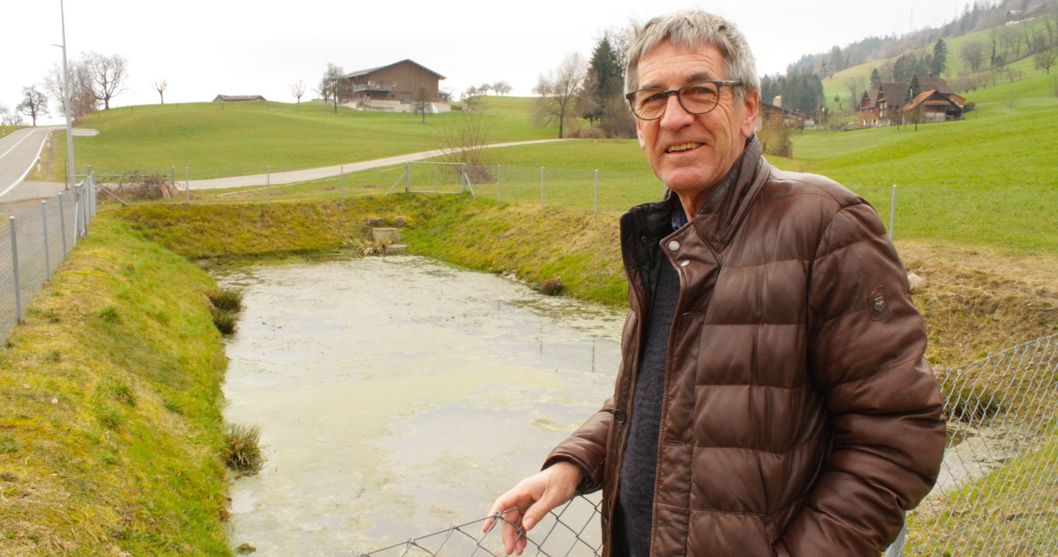 Freiwillige retten in Luzern eimerweise Frösche vor dem Tod
