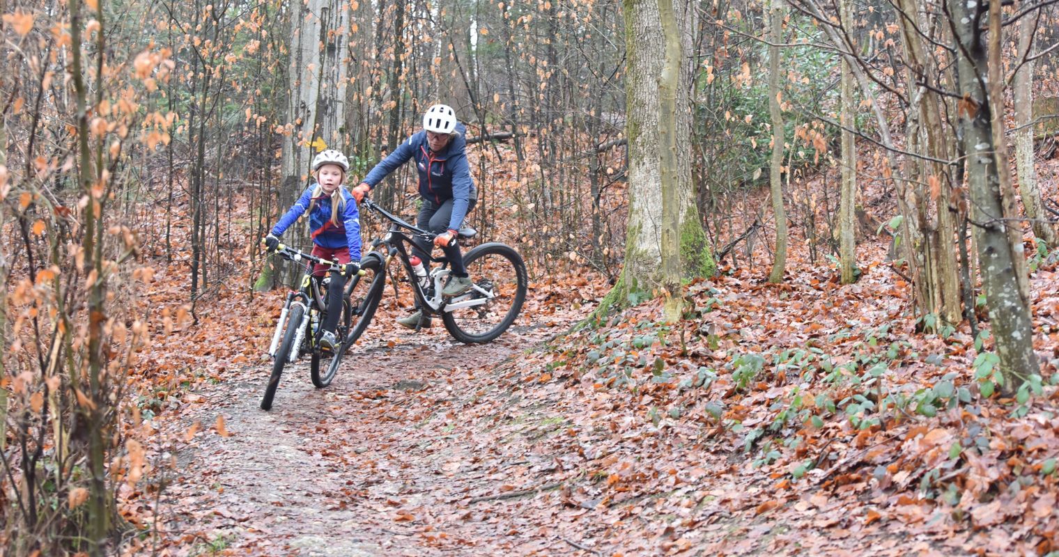 Biken im Bireggwald – warum eine Luzernerin trotz Verbot fährt