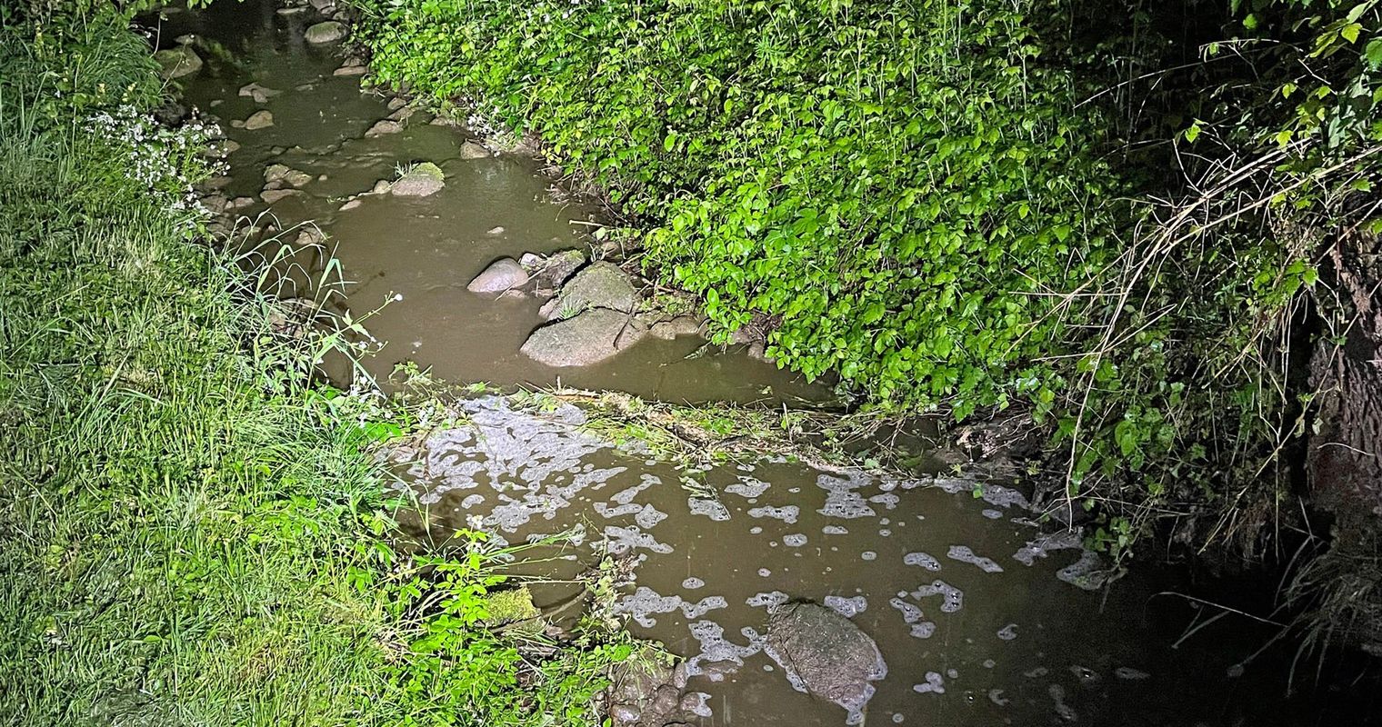 Auf Hunderten Metern mussten alle Fische sterben