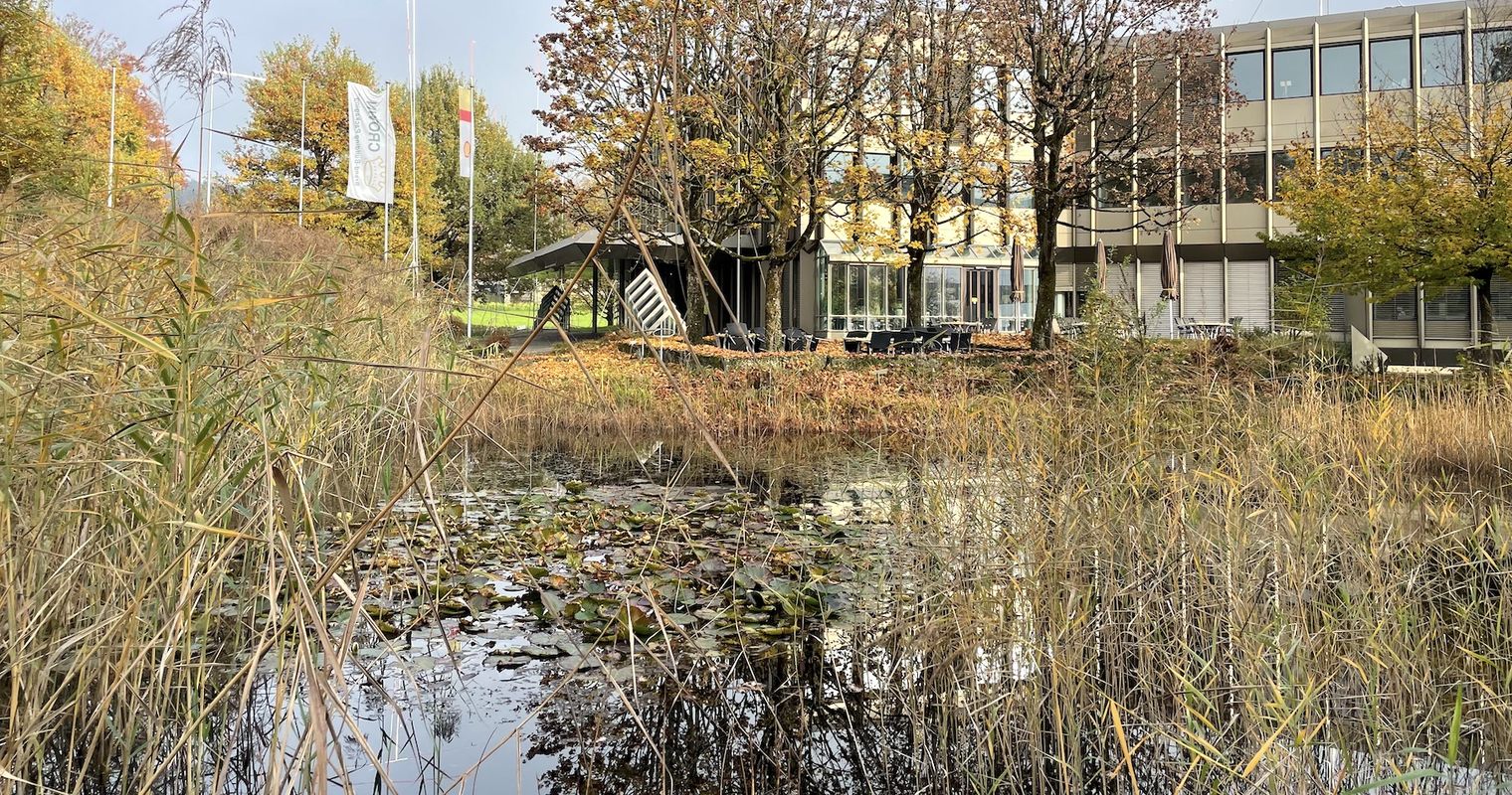 Hier müssen Frosch und Kröte demnächst zügeln