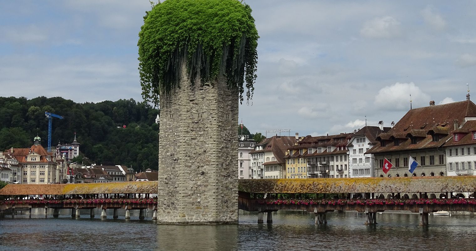 Kein Platz für mehr Pflanzen in Luzern? Denkste