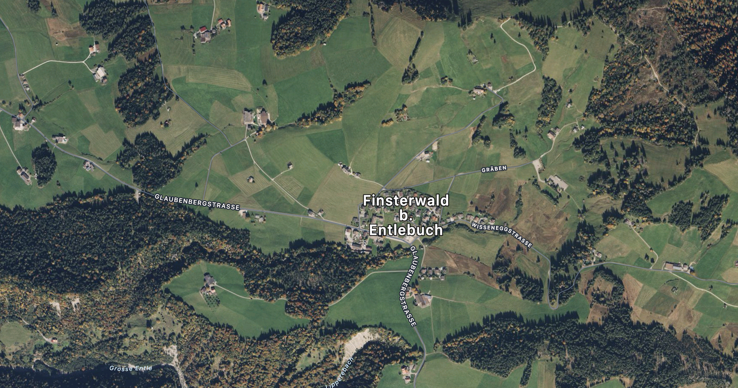 Forstarbeiter nach Unfall in Finsterwald verstorben