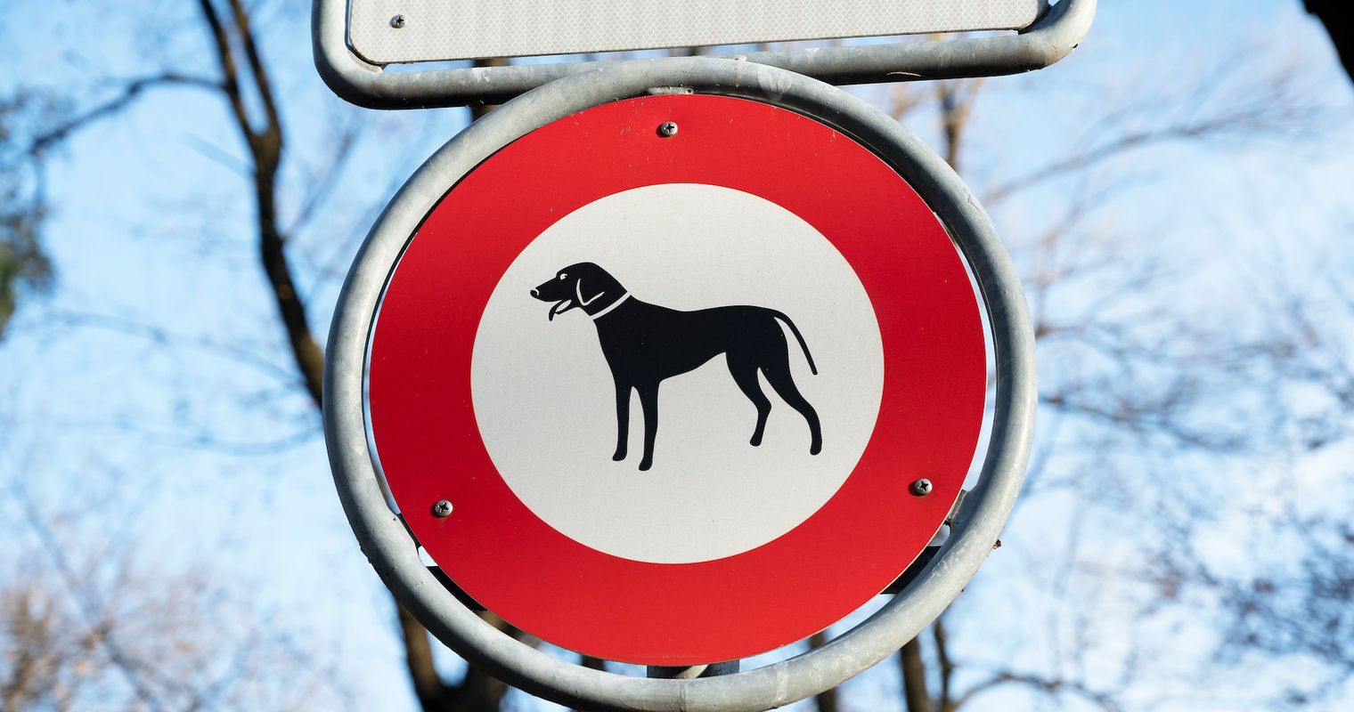 Baar plant Hundeverbot auf beliebtem Spazierweg