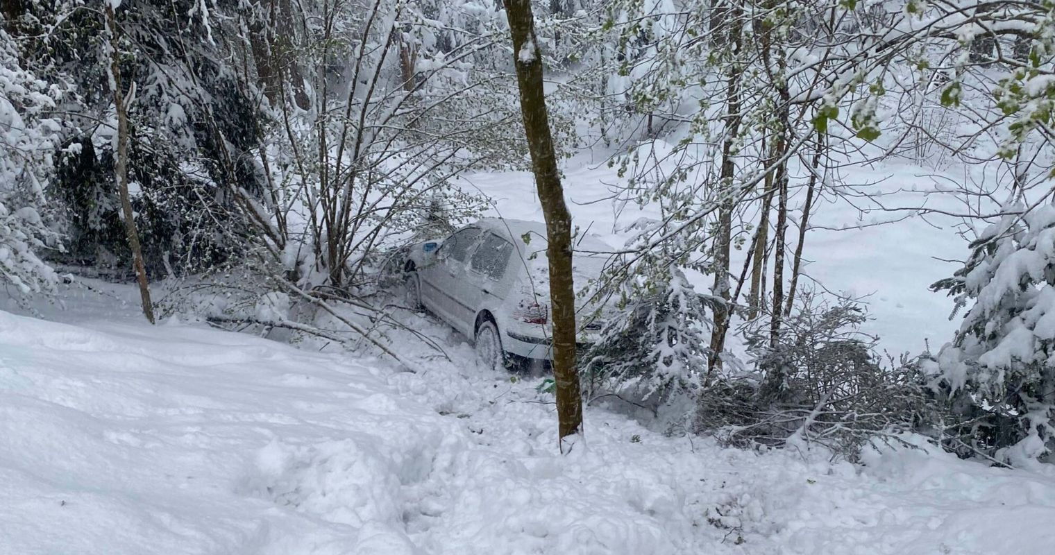 Oberägeri: Autofahrer im Tobel erst durch Baum gebremst