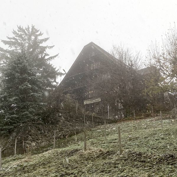 Was ist beim Gasthaus Bauernhof in Baar los?