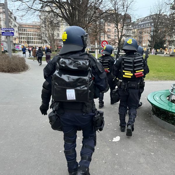 Geschäftsbericht der Polizei: Diese Straftaten boomen