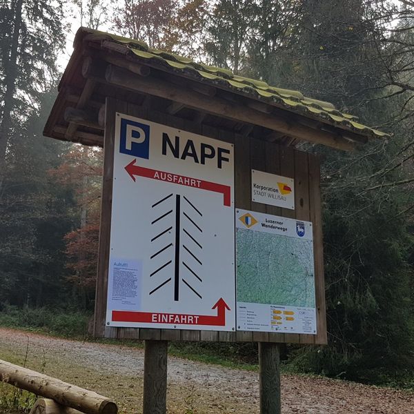 So sehr kämpft die Biosphäre mit Autos und Töffs 
