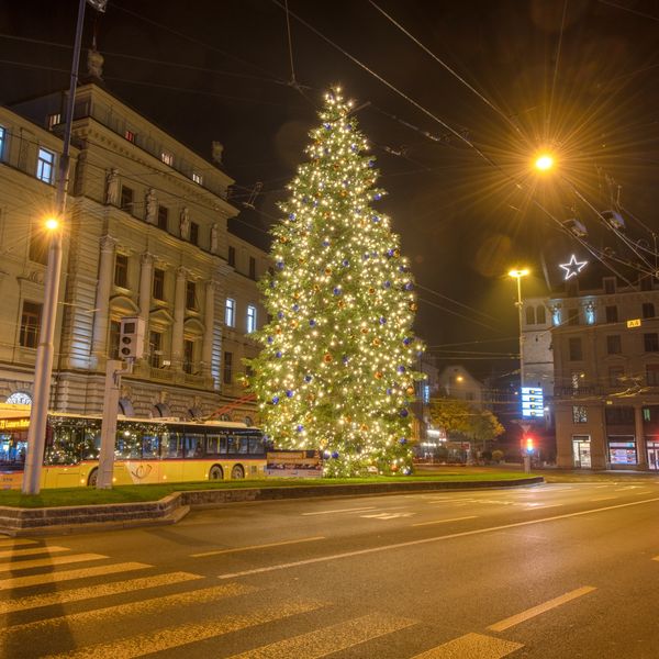 Grösster Weihnachtsbaum der Stadt Luzern leuchtet wieder